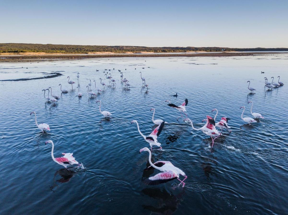 Отель Coot Club Станфорд Экстерьер фото